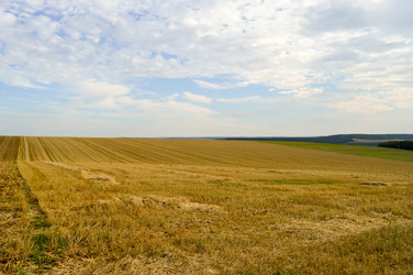 Similar image 13154297