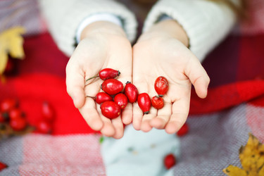 Similar image 13155452