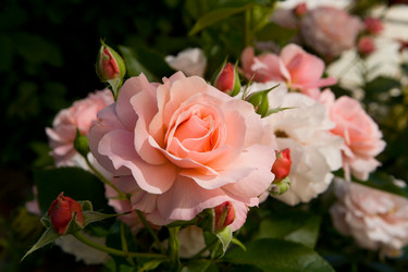 Similar image 13154686