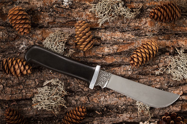 Similar image 13154842