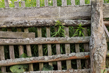 Similar image 13154865