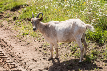 Similar image 13154866