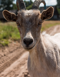 Similar image 13154867