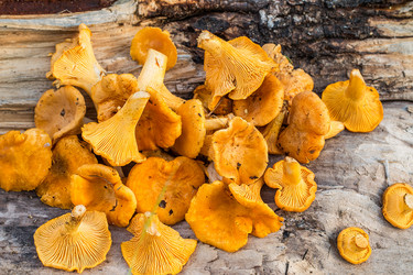 Similar image 13154868