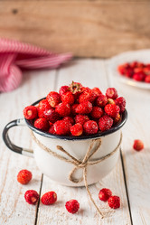 Similar image 13154871