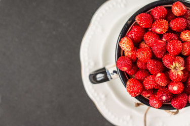 Similar image 13154873