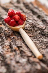 Similar image 13154876