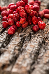 Similar image 13154877