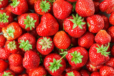 Similar image 13154878