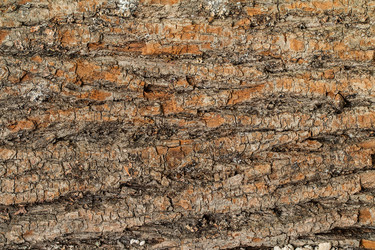 Similar image 13154896