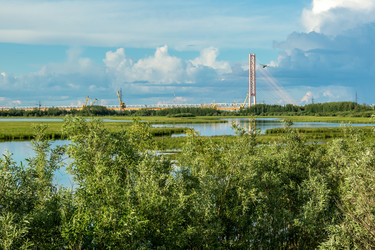 Similar image 13155376