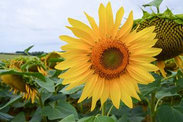 Similar image 13154772