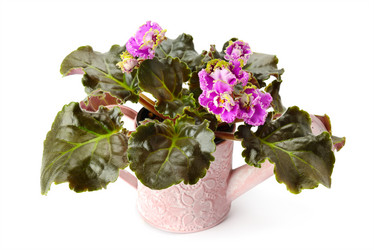 Similar image 13156032