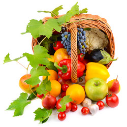 Similar image 13156033