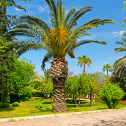 Similar image 13156038