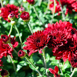 Similar image 13156040