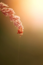 Similar image 13156204