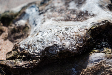 Similar image 13154795