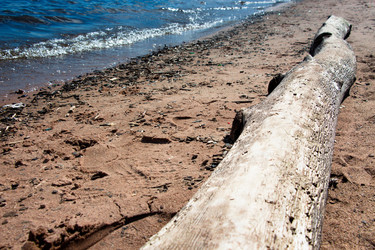 Similar image 13154796