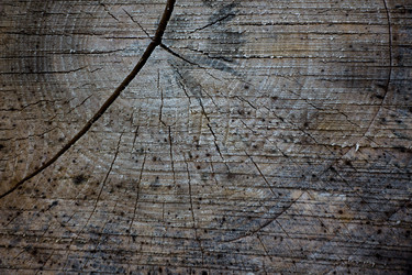 Similar image 13154799