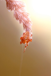 Similar image 13156219