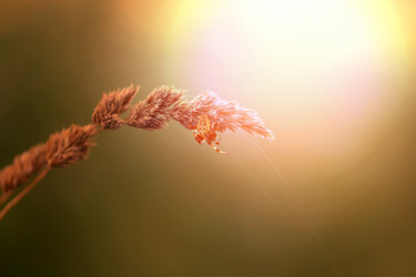 Similar image 13156220