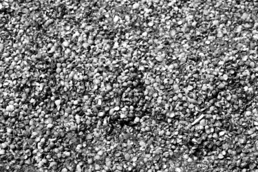 Similar image 13156226