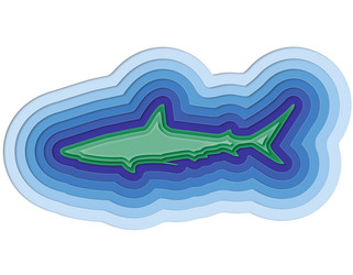 Similar image 13155793