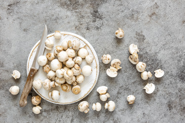 Similar image 13154853