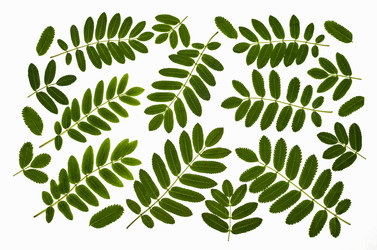 Similar image 13154665