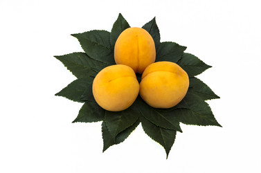 Similar image 13154666