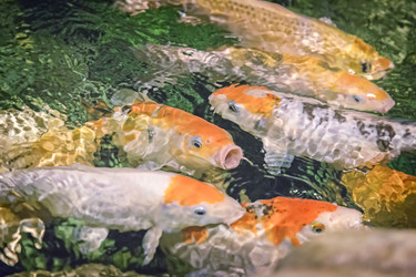 Similar image 13165481