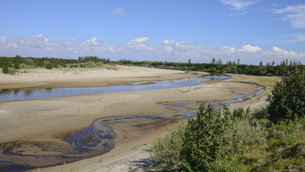 Similar image 13156861