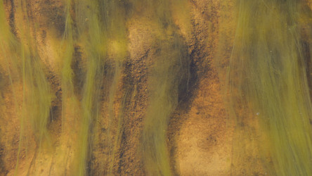 Similar image 13156862