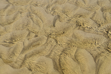 Similar image 13156863