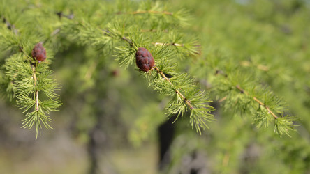 Similar image 13156902