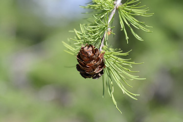 Similar image 13156903