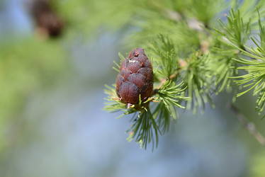 Similar image 13156904