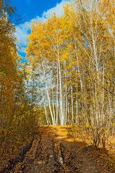 Similar image 13155383