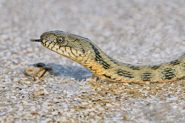 Similar image 13154820