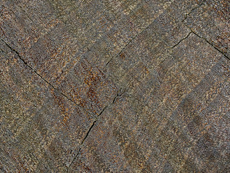 Similar image 13154823