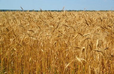 Similar image 13162136