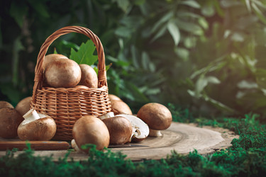 Similar image 13161810