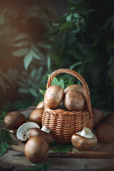 Similar image 13161811