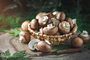 Similar image 13161812