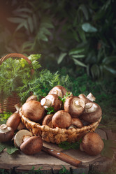 Similar image 13161813