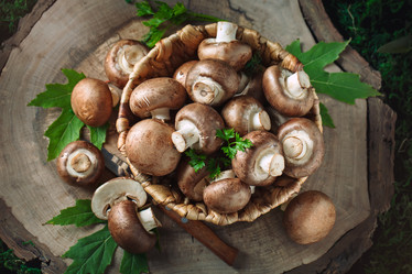 Similar image 13161815