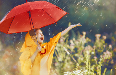 Similar image 13155608