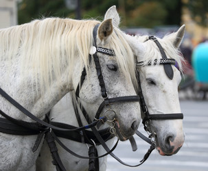 Similar image 13154778