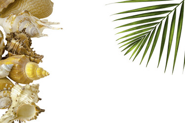 Similar image 13158427